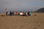 pigeon-on-the-beach