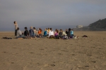 pigeon-on-the-beach_0