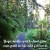 path