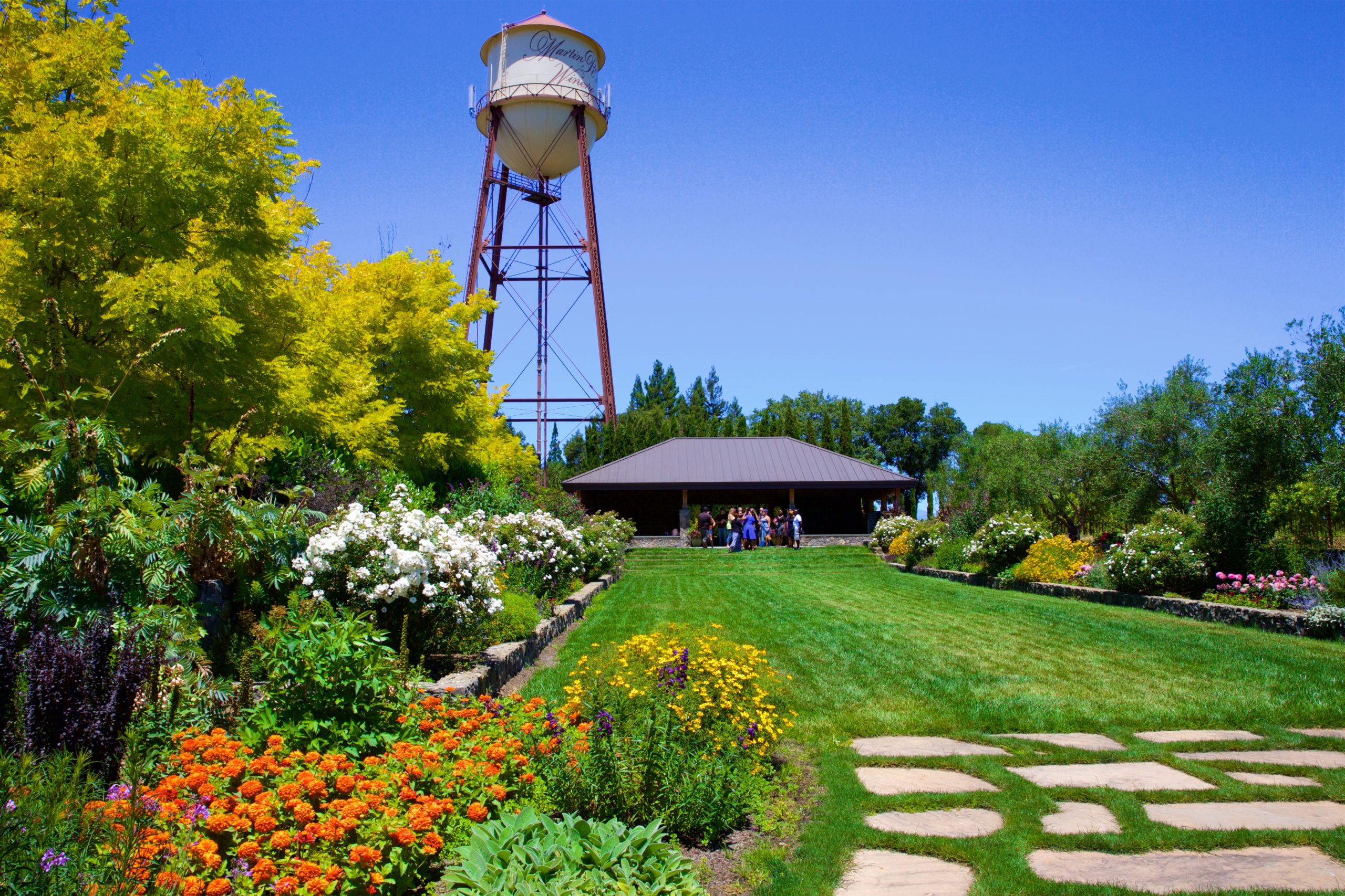 Summer in the Pavilion- Martin Ray Winery yoga santa rosa sonoma county yoga excursions