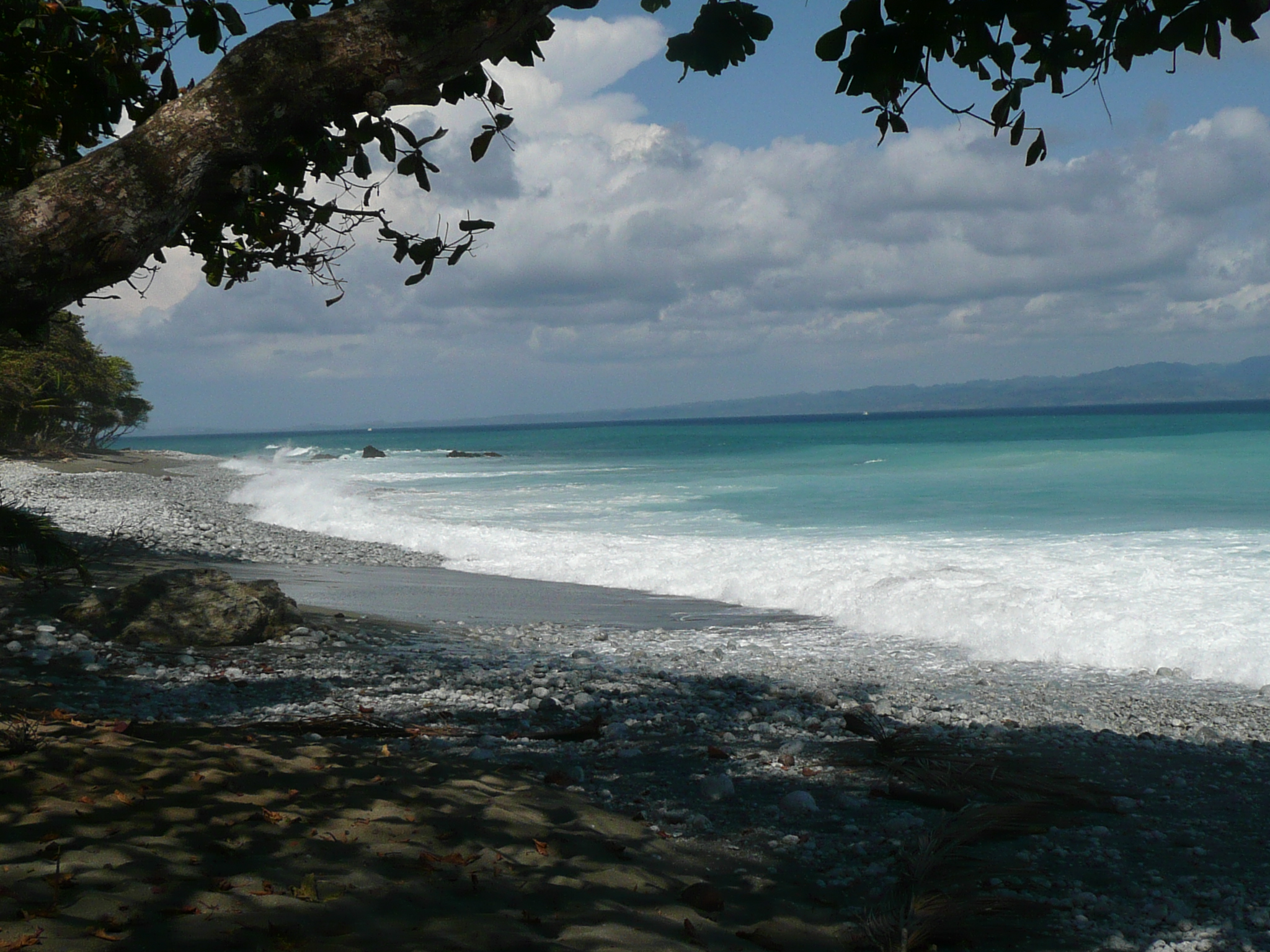 yoga in costa rica osa peninsula yoga retreat